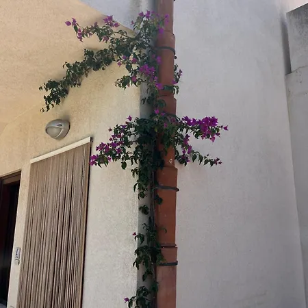 Apartament Hawaii Siciliane *